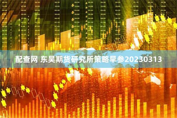 配查网 东吴期货研究所策略早参20230313