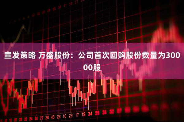 宣发策略 万盛股份：公司首次回购股份数量为30000股